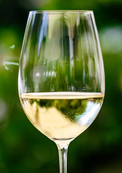 White wine in luxury restaurant on summer garden terrace, wine tasting experience at winery in the vineyard, gourmet tour and holiday travel — Stock Photo, Image