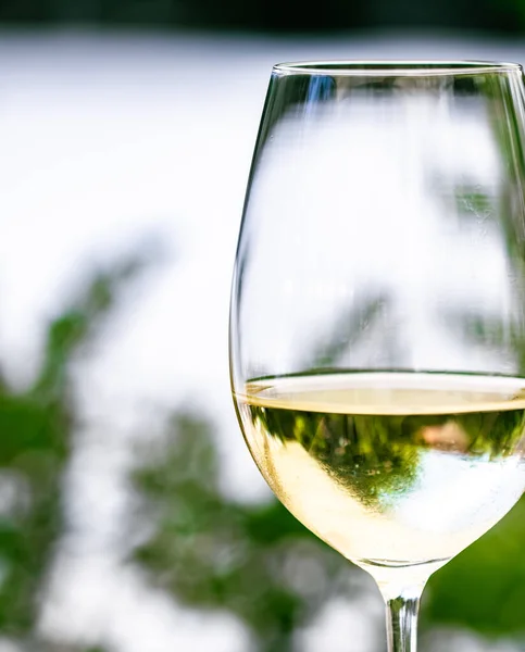 Белое вино в роскошном ресторане на летней террасе в саду, дегустация вин на винодельне в винограднике, изысканный тур и отдых — стоковое фото