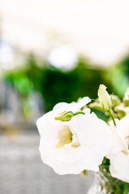 Düğün dekorasyonu, masa dekorasyonu ve çiçek güzelliği, lüks restoranda bir buket beyaz gül, yaz bahçesinden güzel çiçekler.