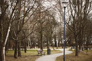 Parkta ilkbahar ya da sonbahar doğası, açık havada yapraklar ve ağaçlar, güzel mevsim.