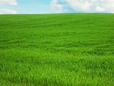 Yeşil alan ve mavi gökyüzü bulutlu, doğa ve çevre olarak güzel çayır