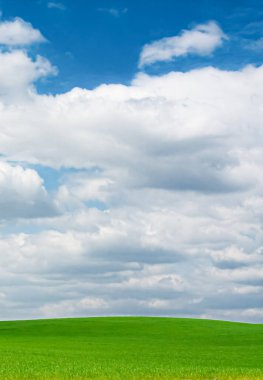 Yeşil alan ve mavi gökyüzü bulutlu, doğa ve çevre olarak güzel çayır