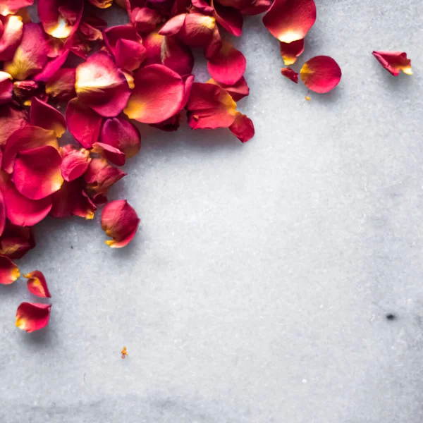 Pétales de rose sur fond de marbre, décor floral et flatlay de mariage, fond de carte de voeux de vacances pour l'invitation à l'événement, design plat laïc — Photo