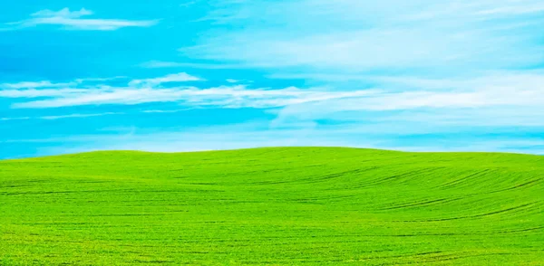 Green field and blue sky with clouds, beautiful meadow as nature and environmental background — Stock Photo, Image