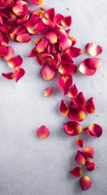 Mermer arka planda gül yaprakları, çiçek dekoru ve düğün örtüsü, davet için bayram tebrik kartı, düz dizayn