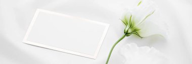 Düğün davetiyesi ya da hediye kartı ve beyaz gül çiçekleri düğün arkaplanı olarak düz kumaş üzerinde, boş kağıt ve tatil damgası, düz dizayn