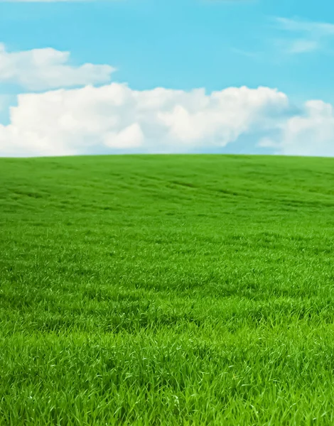 Groen veld en blauwe lucht met wolken, prachtige weide als natuur en milieu-achtergrond — Stockfoto