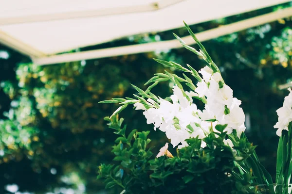 Decoración floral de boda en un restaurante al aire libre en verano — Foto de Stock