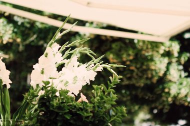 Yazın açık bir restoranda çiçek düğün süslemesi.