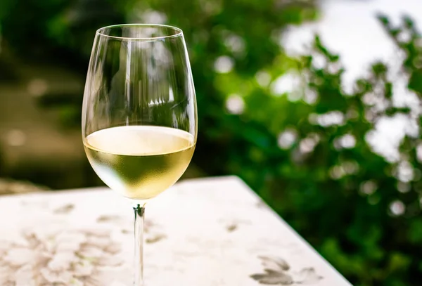 夏の庭のテラスでの高級レストランでの白ワイン、ブドウ畑でのワイナリーでのワインテイスティング、グルメツアーや休暇旅行 — ストック写真
