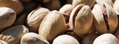 Güneşte organik şam fıstıkları, sağlıklı yiyecekler ve atıştırmalıklar.