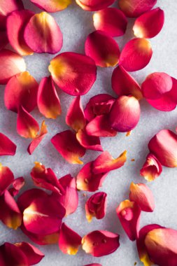 Mermer arka planda gül yaprakları, çiçek dekoru ve düğün örtüsü, davet için bayram tebrik kartı, düz dizayn