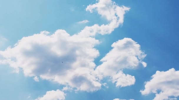Jasne białe chmury i błękitne niebo w słoneczny dzień — Wideo stockowe