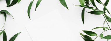 Beyaz kart, beyaz arka planda yeşil yapraklar botanik çerçeve düz çerçeve olarak, düğün davetiyesi ve tatil markası, düz dizayn