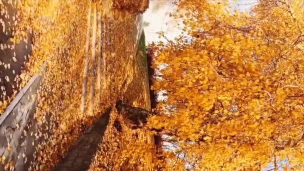 Vidéo verticale de beau fond de paysage d'automne, scène de nature vintage en automne, histoire mobile et format d'histoires — Video