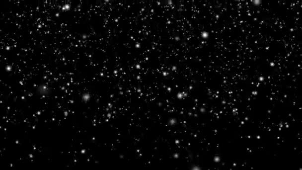 Bílá vrstva sněhu na černém pozadí, sněhové vločky bokeh a sněžení pro vánoční a prázdninový design — Stock video