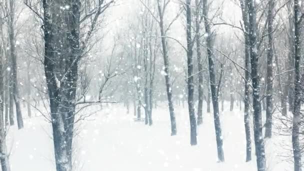 Bosque de invierno como fondo navideño, nevadas y árboles cubiertos de nieve — Vídeos de Stock