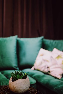 Modern ev veya apartmanda ev dekorasyonu, lüks mobilyalar ve dekorasyon ayrıntıları