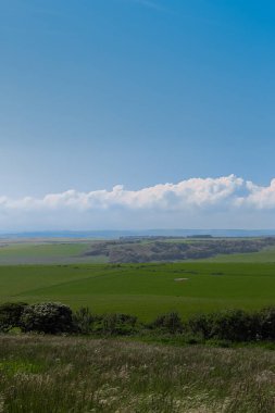 Green fields extending to the horizon under a vast blue sky with fluffy white clouds. East Sussex countryside, England