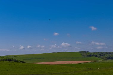 Expansive green rural landscape with fields and trees, a dirt path, and a few animals grazing under a clear blue sky. East Sussex, England