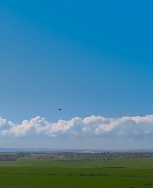 Bird soaring above a wide green landscape, portraying concepts of freedom and tranquility. East Sussex countryside, England
