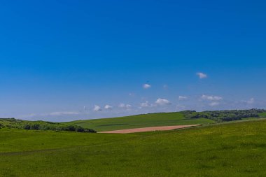 Rolling green hills and agricultural fields extending into the horizon, presenting a serene natural rural environment during daytime. East Sussex, England
