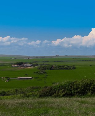 Kırsal alan canlı yeşil otlaklar ve uzak tepelerle çevrili tarım yapılarını gösteriyor. Doğu Sussex kırsal bölgesi, İngiltere