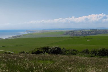 Seven Sisters uçurumlarının panoramik manzarası, canlı yeşil kırsal ve mavi gökyüzünün altındaki okyanus. Doğu Sussex kırsal bölgesi, İngiltere