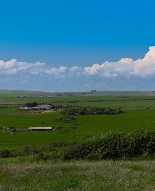 Kırsal alan canlı yeşil otlaklar ve uzak tepelerle çevrili tarım yapılarını gösteriyor. Doğu Sussex kırsal bölgesi, İngiltere