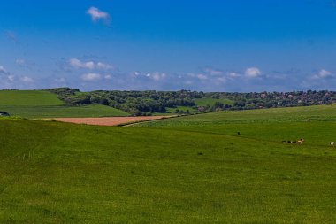 Uçsuz bucaksız yeşil otlaklar dalgalı mavi gökyüzünün altında ineklerin otladığı ve uzaktan görülebilen bir köy. Doğu Sussex, İngiltere