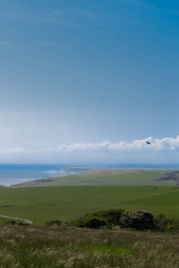 Yuvarlanan yeşil alanlar üzerinde uçan kuş, engebeli kıyı şeridi ve özgürlüğü simgeleyen uçsuz bucaksız mavi gökyüzü. Doğu Sussex kırsal bölgesi, İngiltere