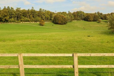 Önünde kırsal ahşap bir çit olan yeşil otlak uzak bir ağaç hattına ve bulutlu gökyüzüne doğru uzanıyor.