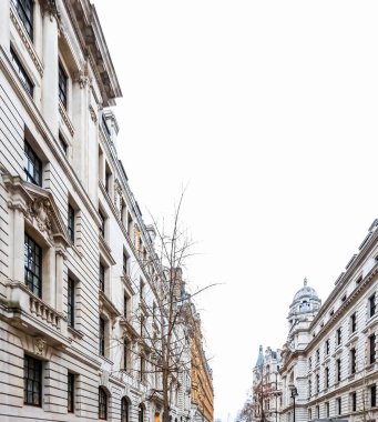 Londra sokak manzarası klasik mimariyi gözler önüne seriyor ve parlak bir gökyüzü altında bir şehir yolu boyunca ağaç dallarının yer aldığı gösterişli cepheler sergiliyor.