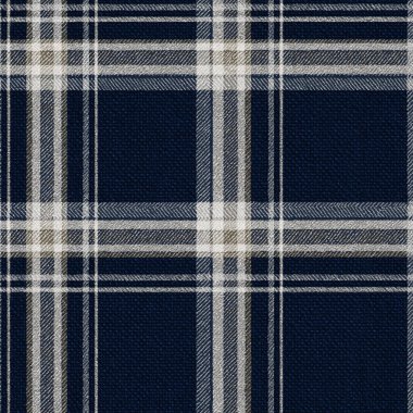 Kusursuz desen, beyaz ve bej çizgili mavi ekose kumaş, rahat ve klasik bir tekstil tasarımı yaratıyor. Arka planlar için ideal
