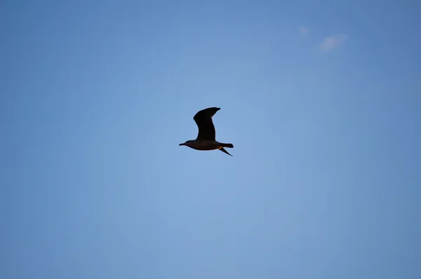 Cielo cálido —  Fotos de Stock