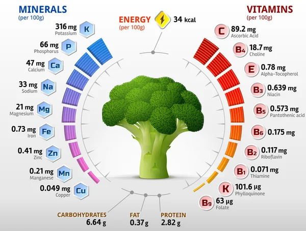 Vitamíny a minerály brokolice květu — Stockový vektor