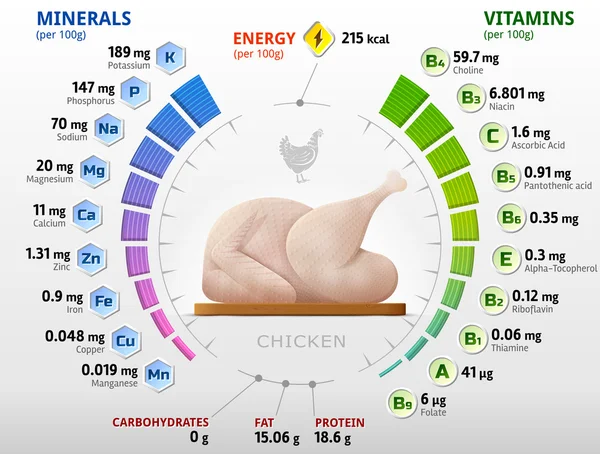 Vitaminer och mineraler av rå kyckling — Stock vektor