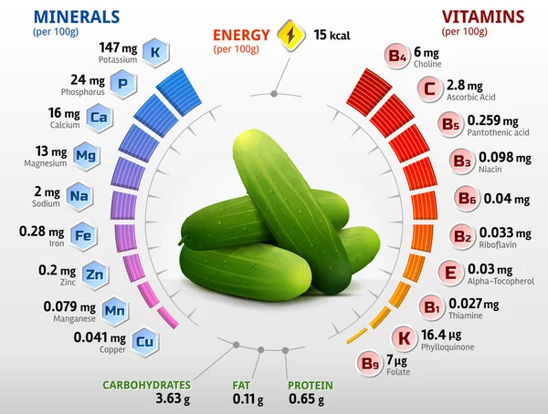 Vitaminer och mineraler av gurka frukt — Stock vektor