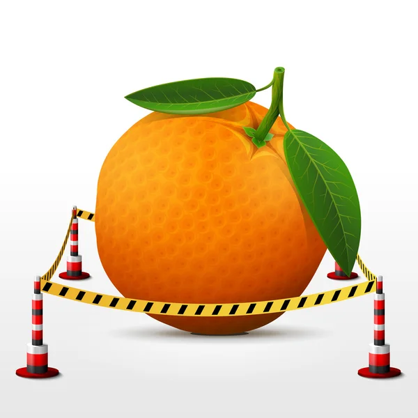 Orange fruit located in restricted area — Stock Vector