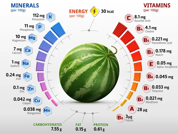 Vitaminy a minerálních látek z ovoce meloun — Stockový vektor