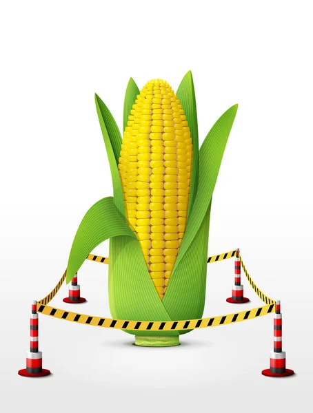 Korlátozott Területen Lévő Kukoricafül Kukoricacsutka Levelekkel Körülvéve Vektor Illusztráció Mezőgazdaság — Stock Vector