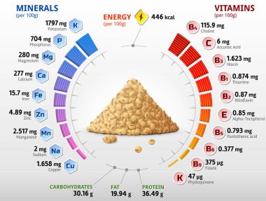 Vitaminler ve çiğ soya fasulyesi mineralleri. Olgun soya taneciklerindeki besinlerle ilgili bilgiler. Soya, sağlıklı gıda, tarım, vitaminler, baklagil, besin maddeleri, diyet vs. için vektör illüstrasyon