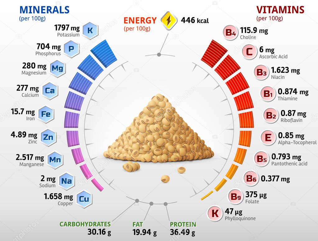 Vitamins and minerals of raw soybeans. Infographics about nutrients in mature soy grain. Vector illustration for soya, health food, agriculture, vitamins, legume, nutrients, diet, etc