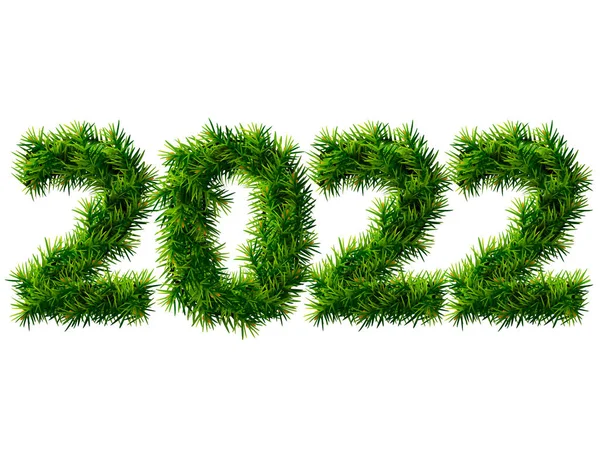 Nieuwjaar 2022 Van Kerstboom Takken Geïsoleerd Wit Lege Dennentwijgen Vorm — Stockvector