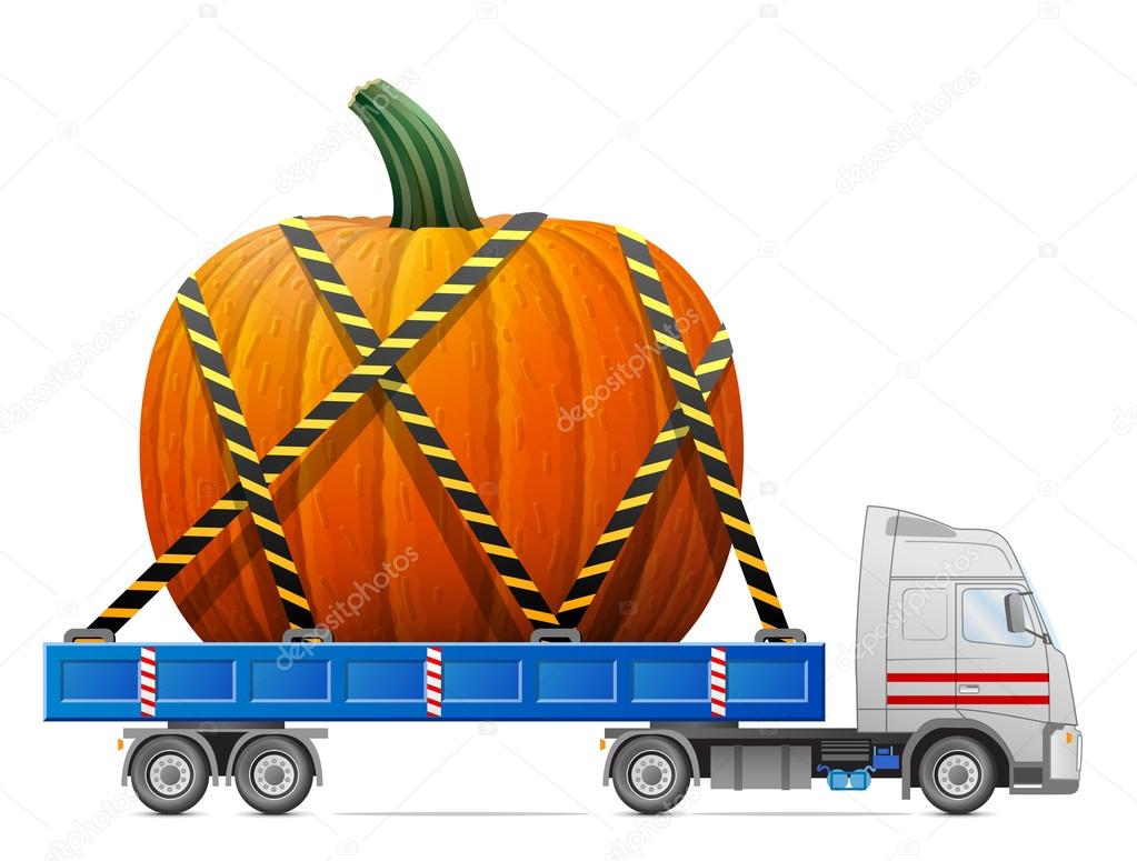 Road transportation of pumpkin fruit