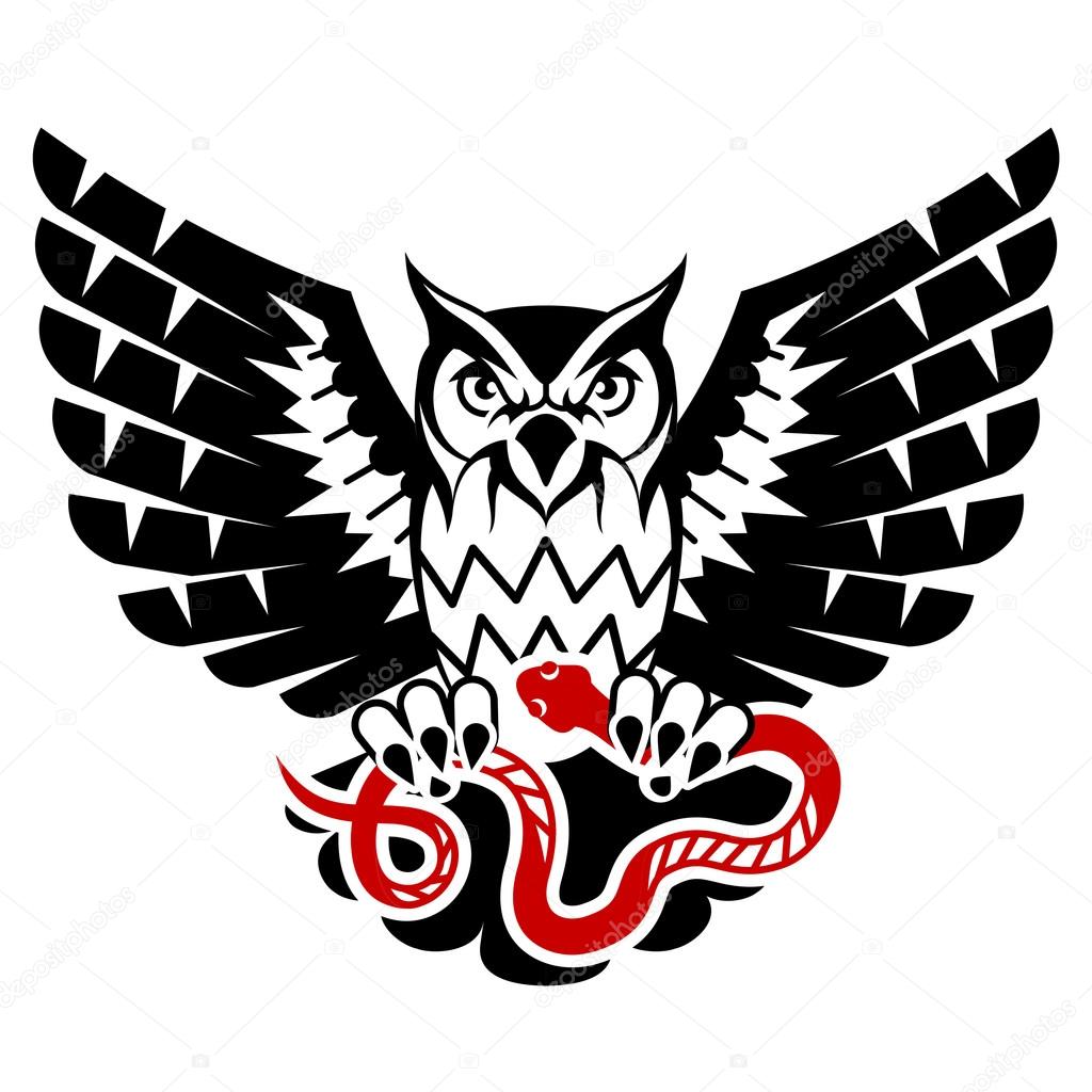 Owl with open wings attacking snake