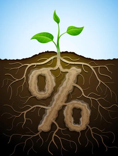 Signo porcentual como raíz de planta — Vector de stock