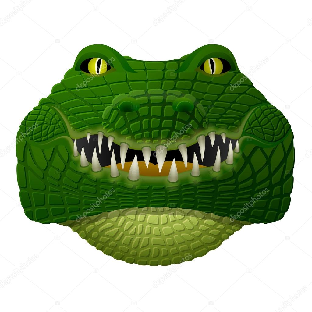 Front view of isolated alligator head. Qualitative vector illustration for zoo, sports mascot, circus, wildlife, nature, etc. It has transparency, blending modes, mesh, mask