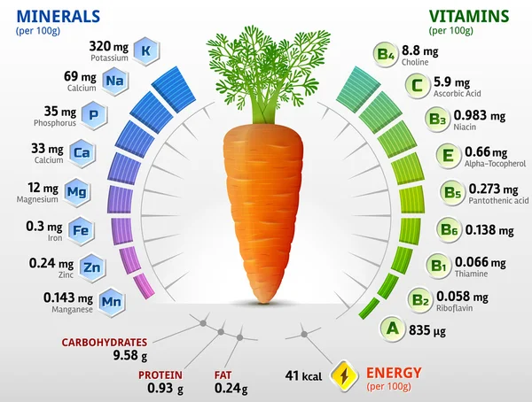 Vitaminas e minerais de tubérculo de cenoura Ilustração De Stock