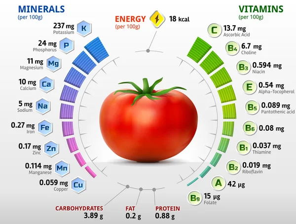 토마토의 무기물과 비타민 벡터 그래픽